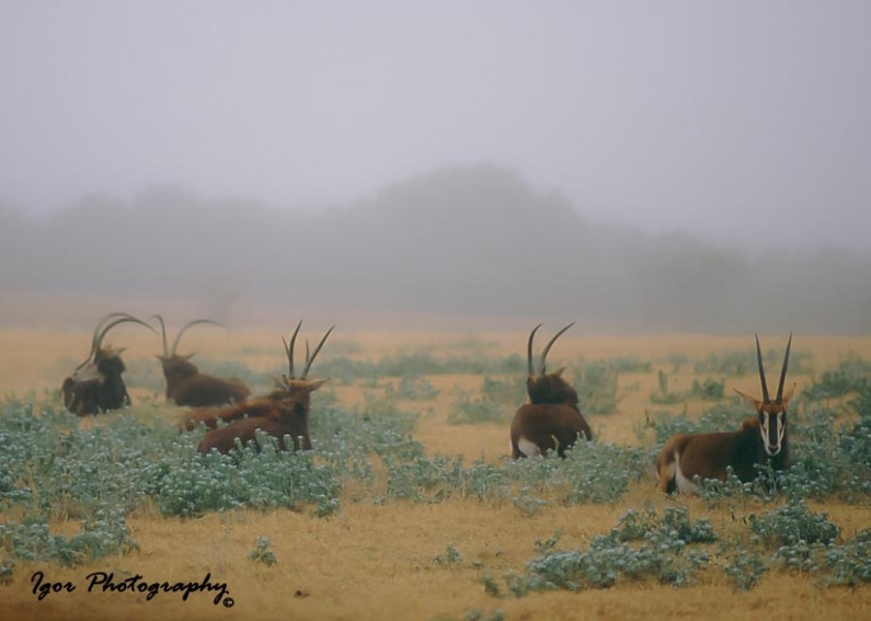 Landscape and Nature Photographer Fort Worth-Dallas