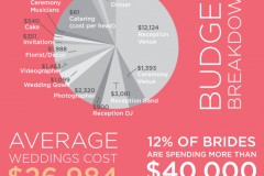 Wedding Infographics to save you money